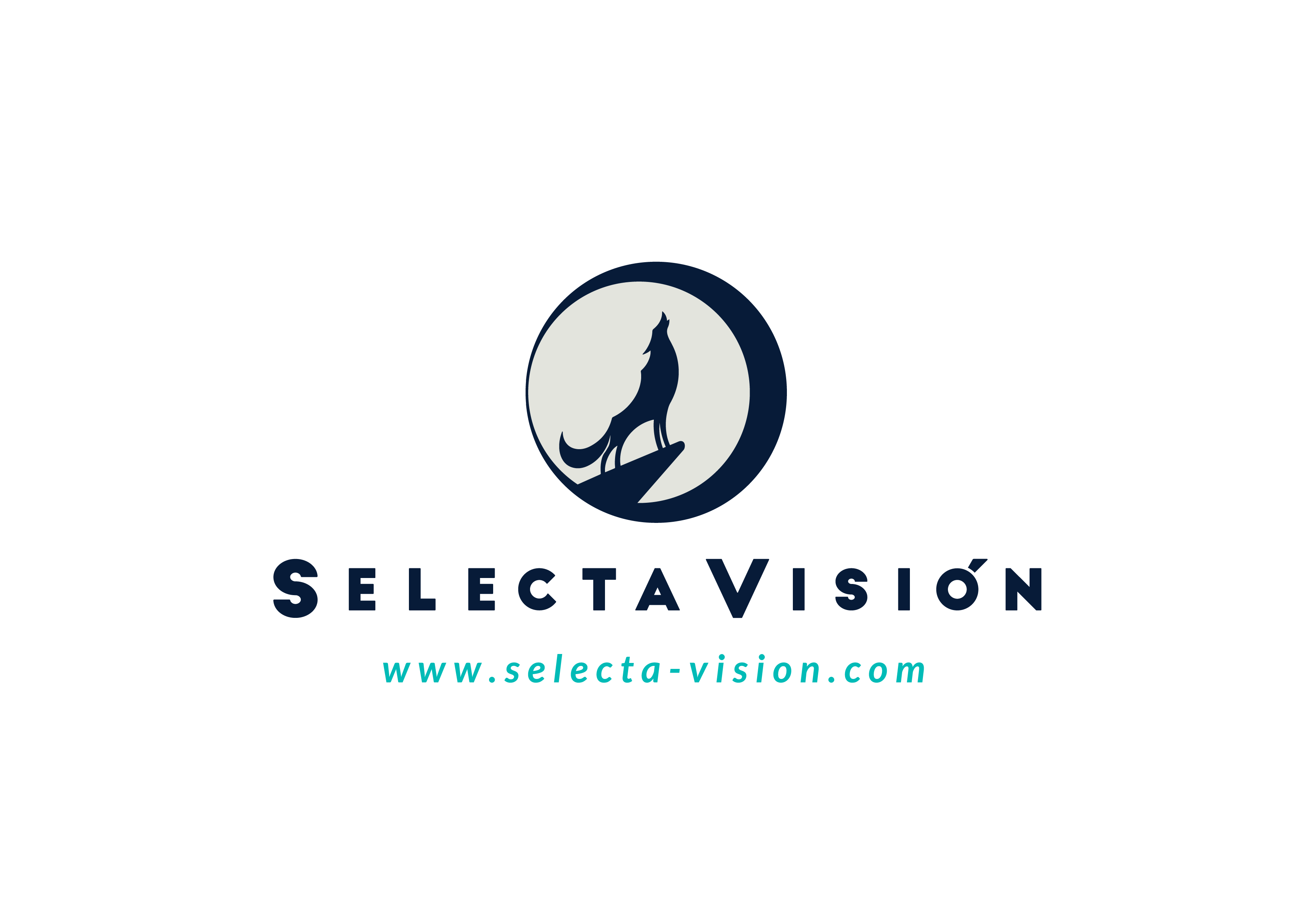Selecta Visión